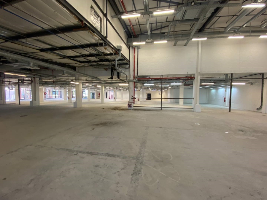 To Let commercial Property for Rent in Observatory Western Cape